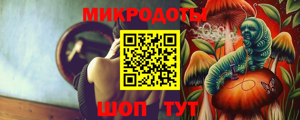 Псилоцибиновые грибы мицелий Анжеро-Судженск